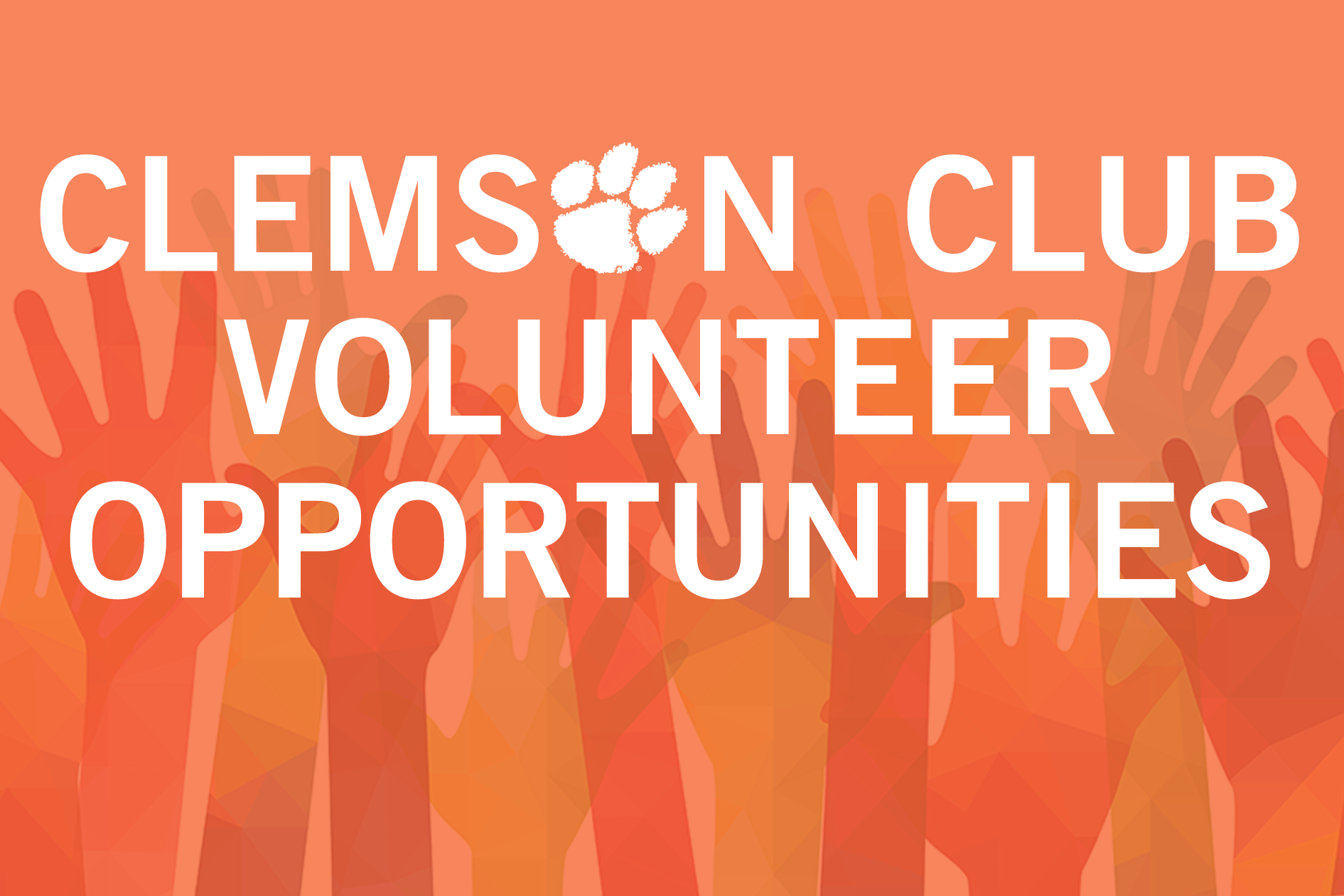 Join One of Our Volunteer Committees